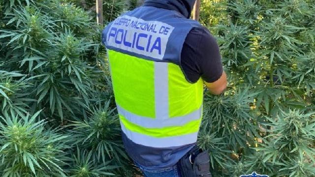 La Policía en la operación.