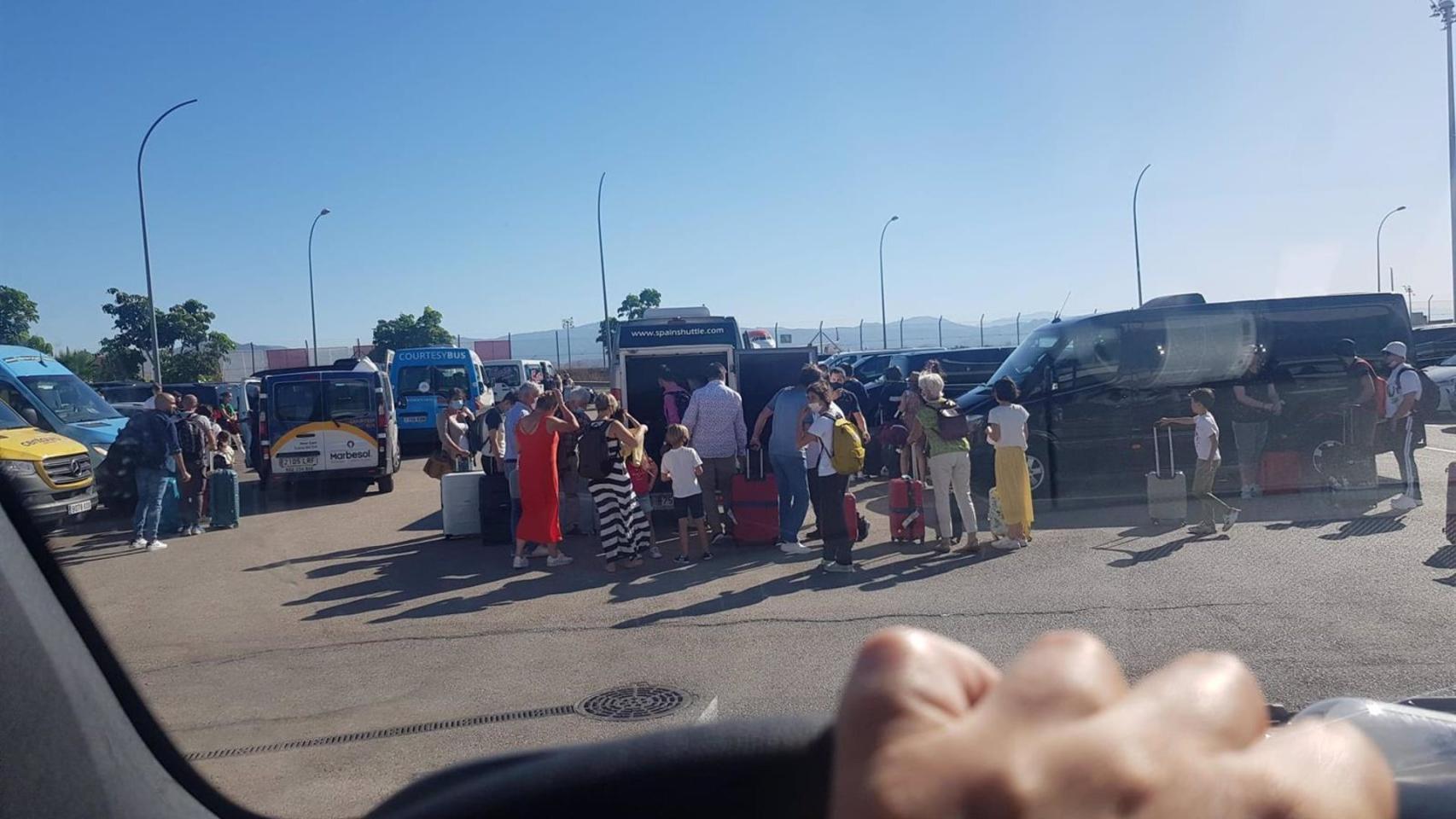 Empresas y 'rent a car' y VTC en aeropuerto de Málaga.