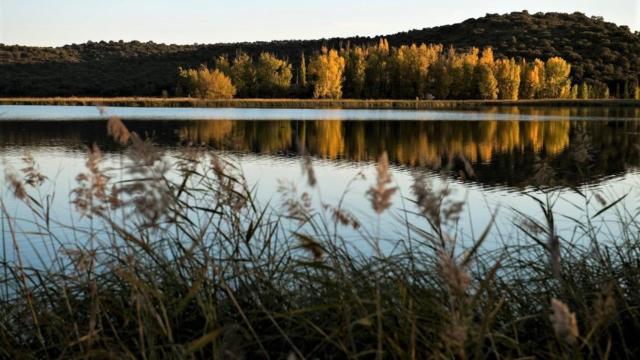 Humedal en La Mancha. Foto de archivo: Efe