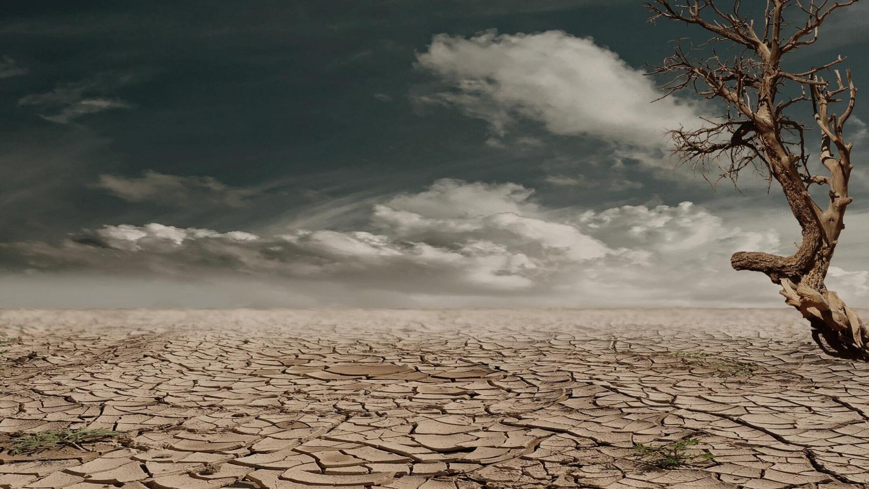 Los devastadores efectos del cambio climático dificultan la producción de alimentos