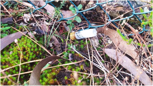 Cartuchos encontrados en Arteixo.