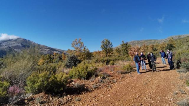 Castilla-La Mancha organiza más de 40 actividades con el programa 'Vive tu Espacio'