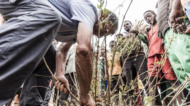 Tony Rinaudo en el Programa de Reforestación Comunitaria de Humbo, Etiopía