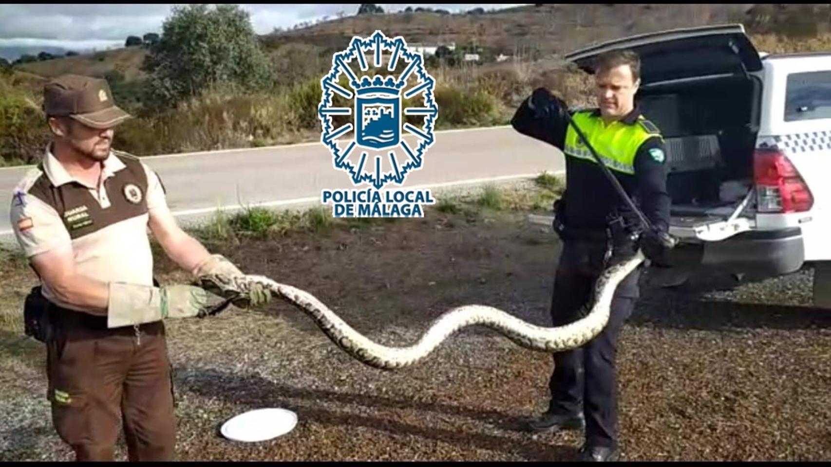 La serpiente.