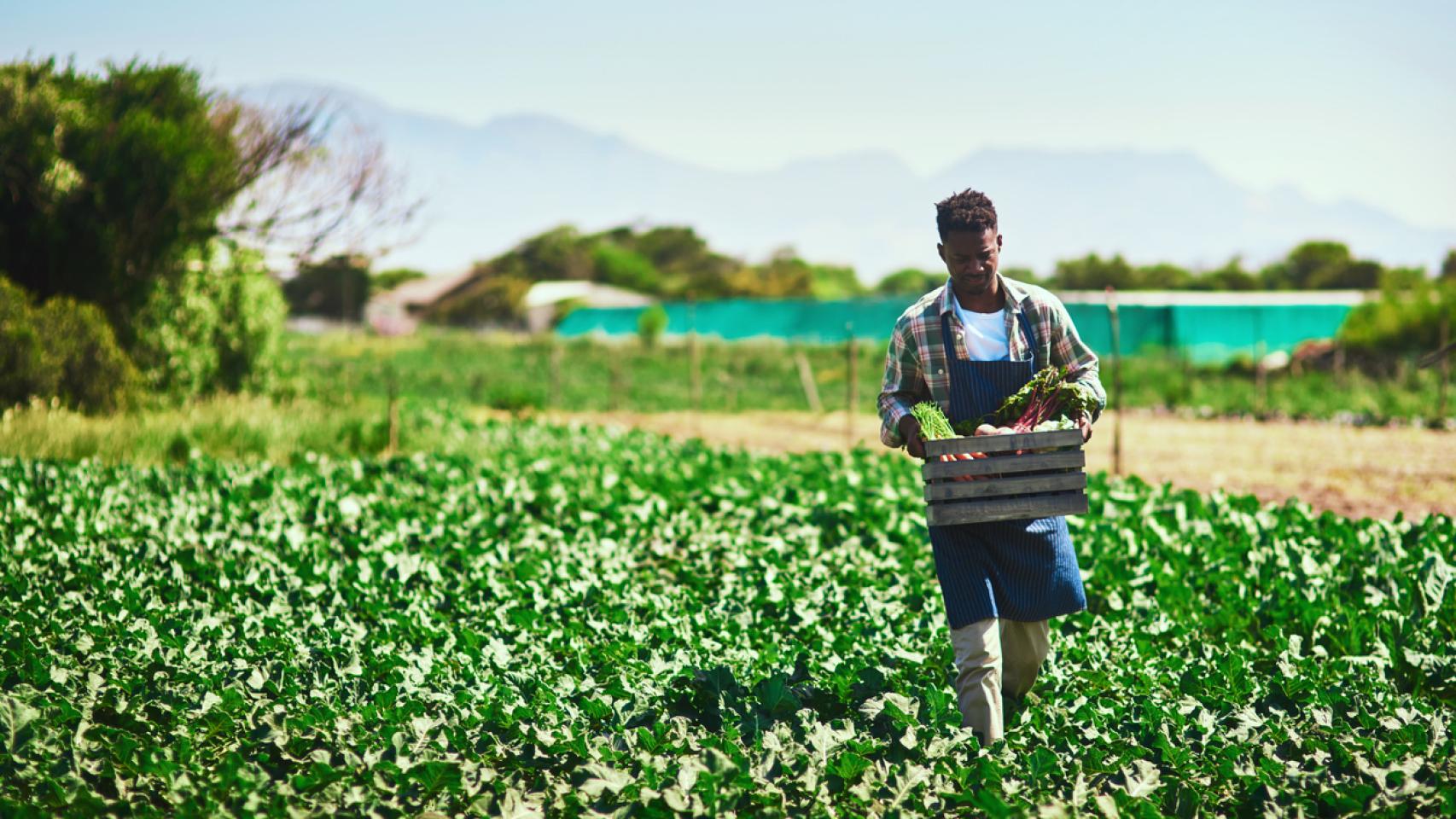 Un agricultor