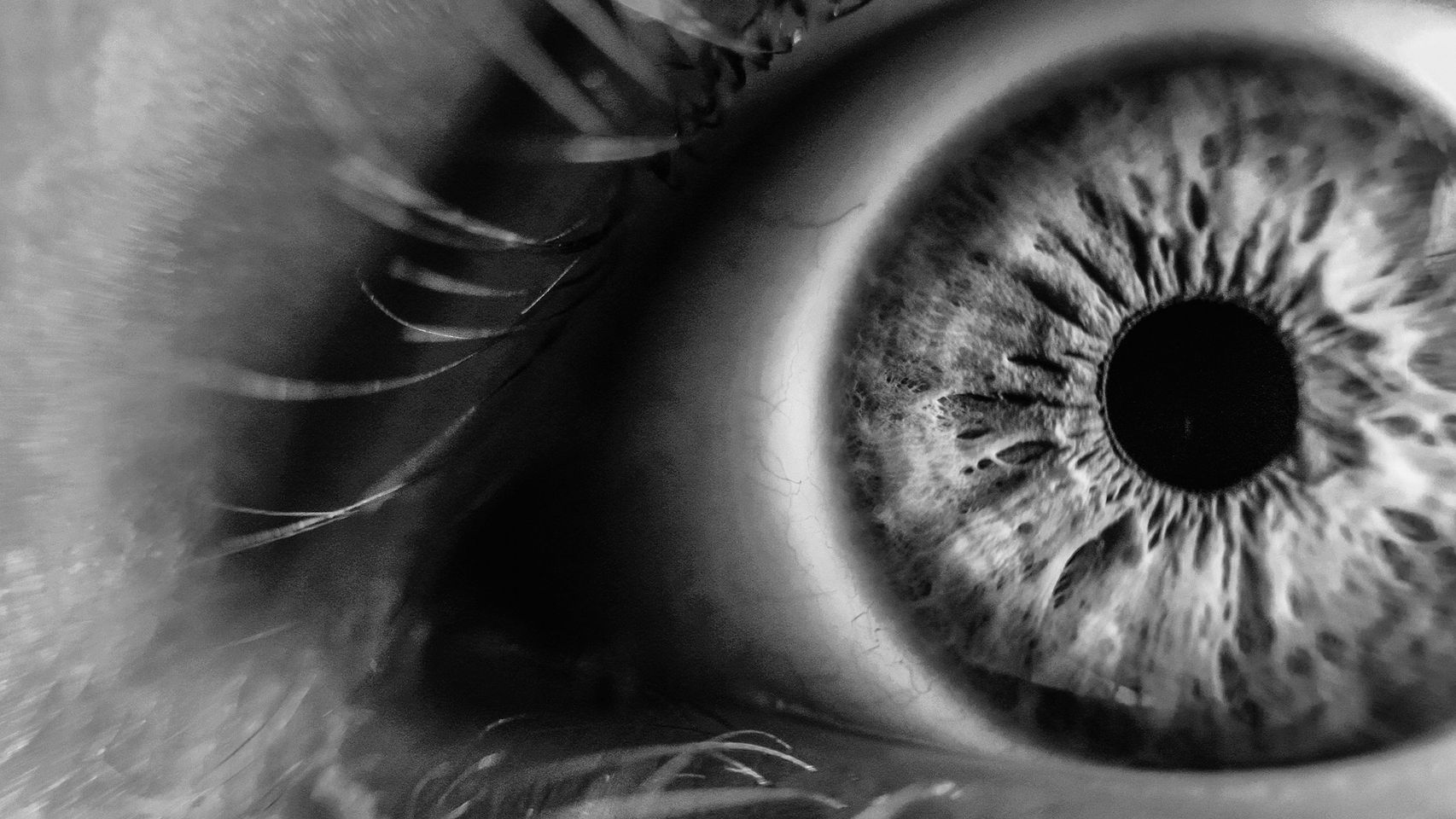 La Universidad de Alicante investiga una nueva terapia génica para tratar enfermedades de la retina