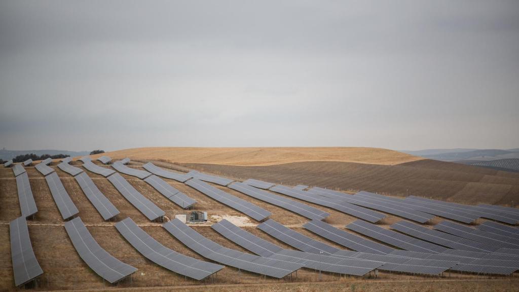 Campo de placas solares que la propiedad arrienda en la actualidad a Hive.