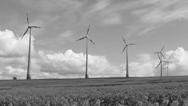 Los derechos de emisión de CO2 como impuesto en la sombra