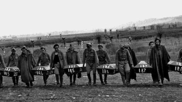 Cadáveres exhumados en Paracuellos del Jarama.