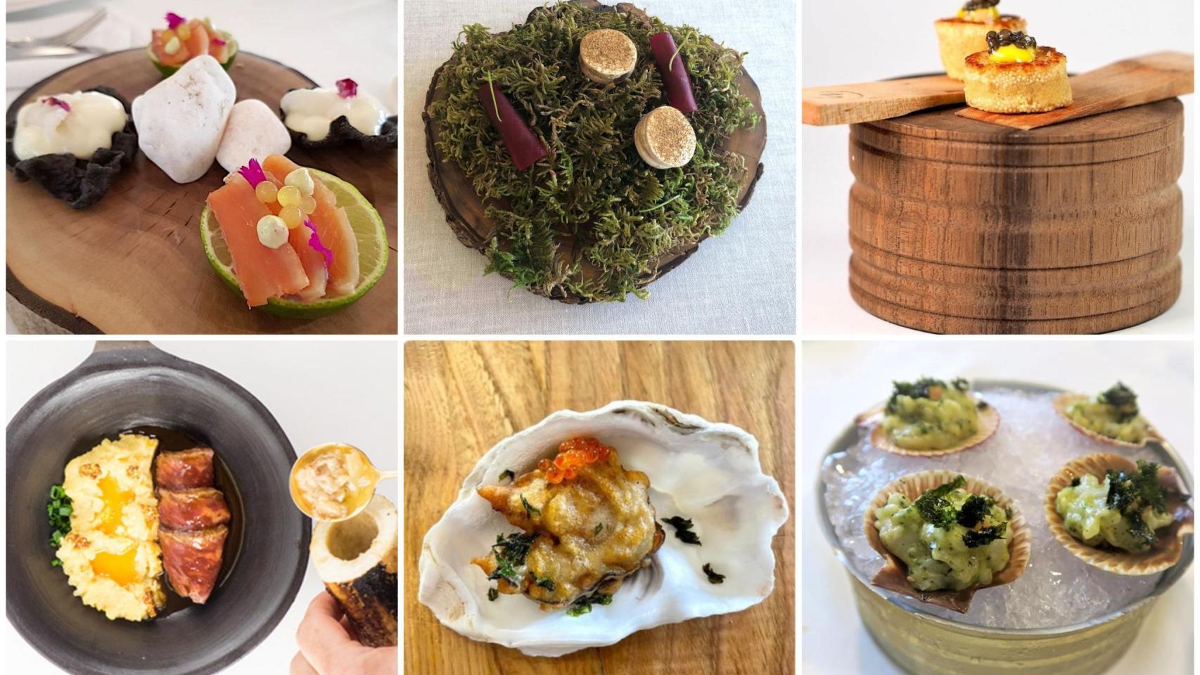 Platos de los diferentes menús degustación.