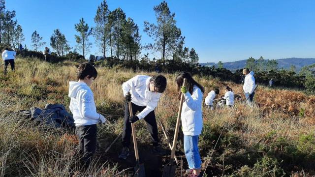 Reforestación en las Fragas do Eume, A Coruña.