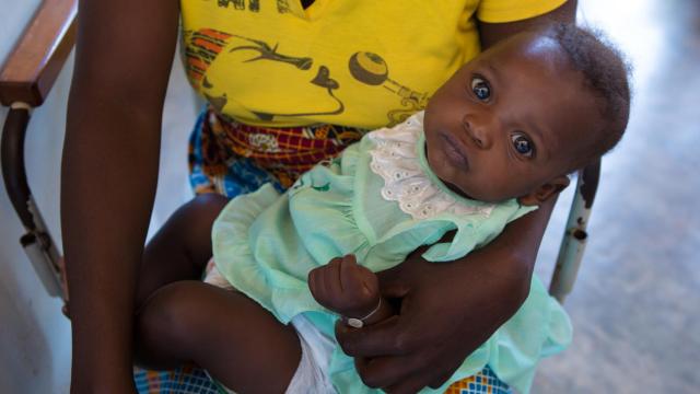 Con la colaboración de Fundación la Caixa