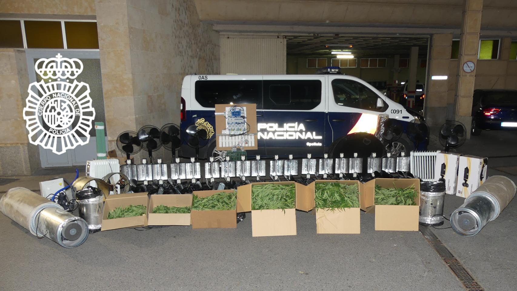 Plantas y útiles para su cultivo intervenidos en el Polígono Los Villares por la Policía Nacional