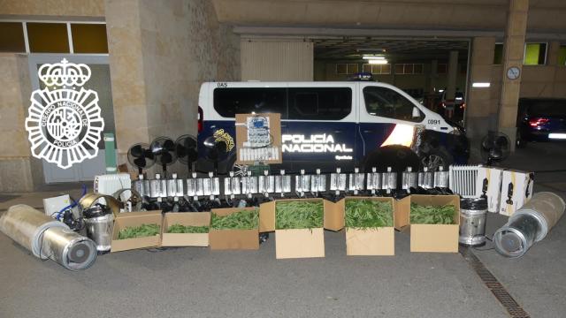 Plantas y útiles para su cultivo intervenidos en el Polígono Los Villares por la Policía Nacional
