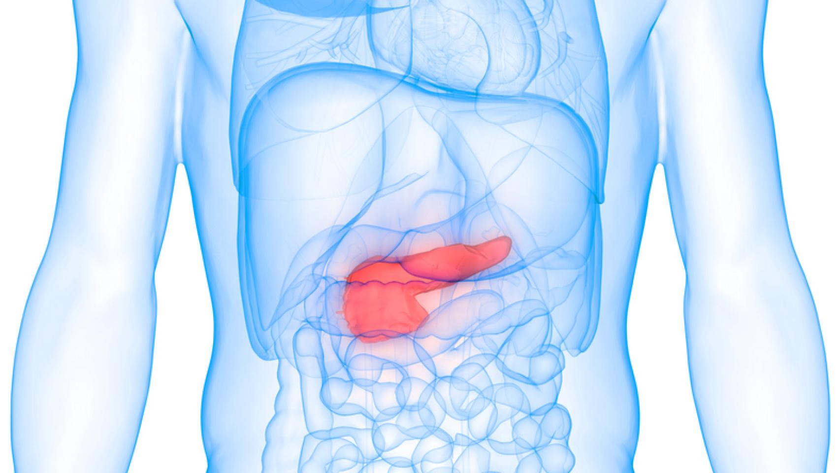 El color de la orina y la sed, los nuevos síntomas para detectar el cáncer de páncreas