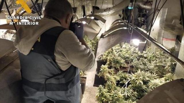 La Guardia Civil durante la intervención en el laboratorio de marihuana