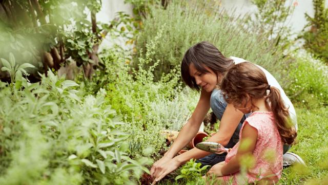 Madre e hija plantando