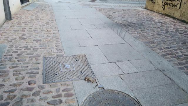 Alcantarillas en Zamora