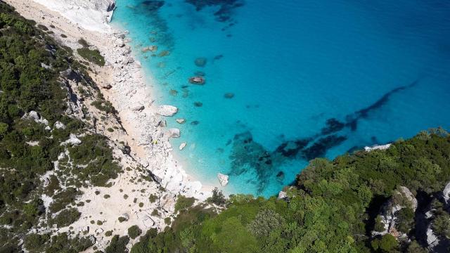 Cómo contribuir desde la ciencia y la tecnología a frenar los efectos directos del cambio climático.