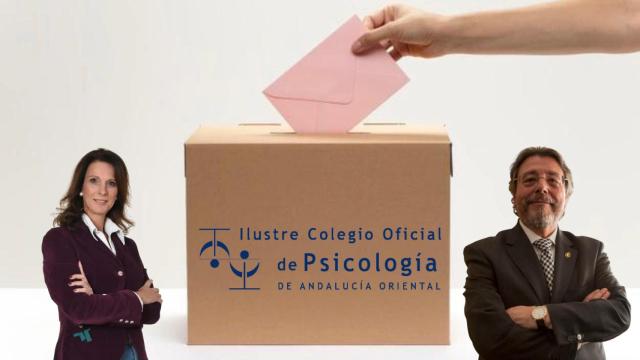Las elecciones del COPAO se celebran el próximo 16 de diciembre.