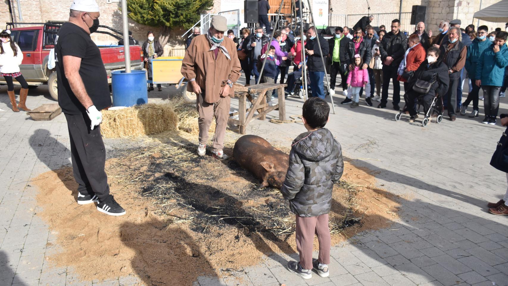 Un niño observa como Ramón García realiza el chamuscado y estazado del cerdo