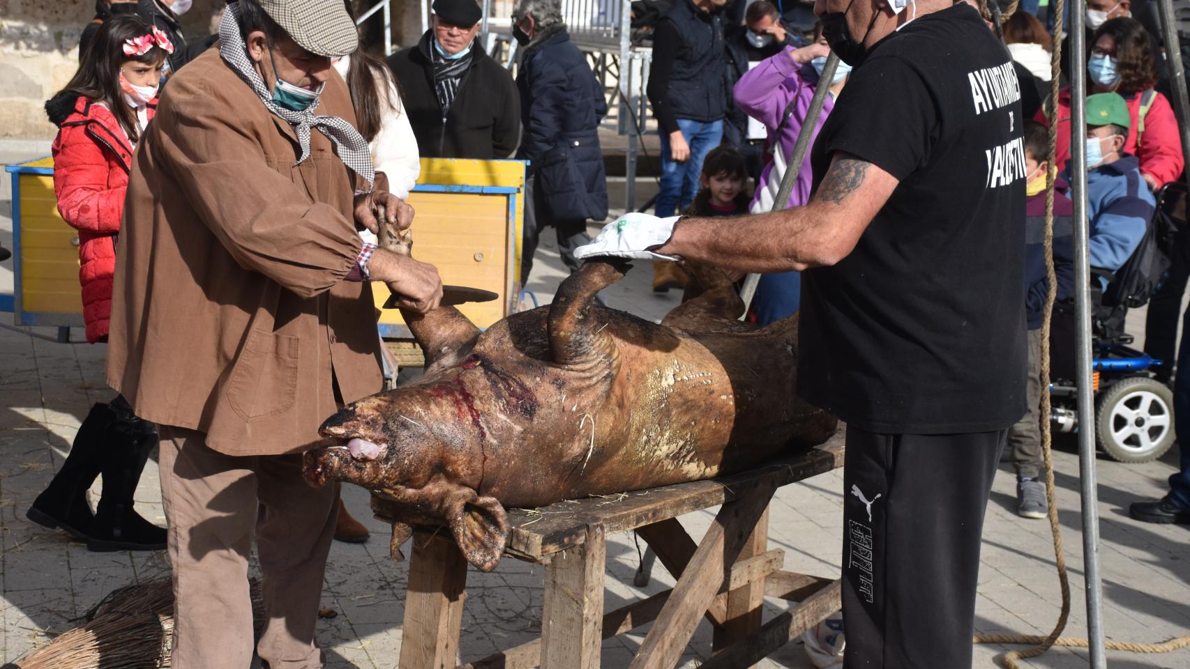 Una matanza tradicional en Valdestillas