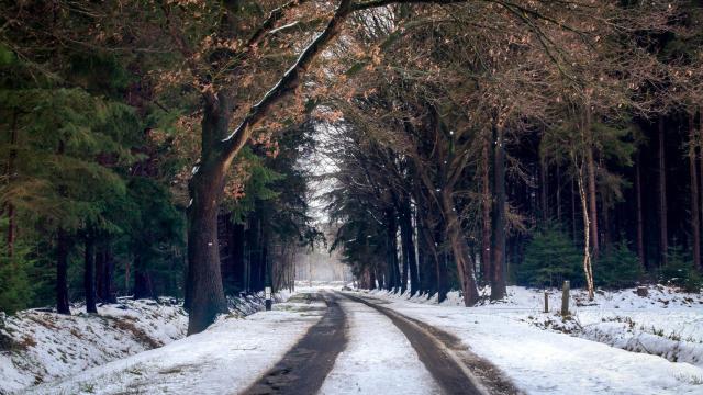 Carretera nieve