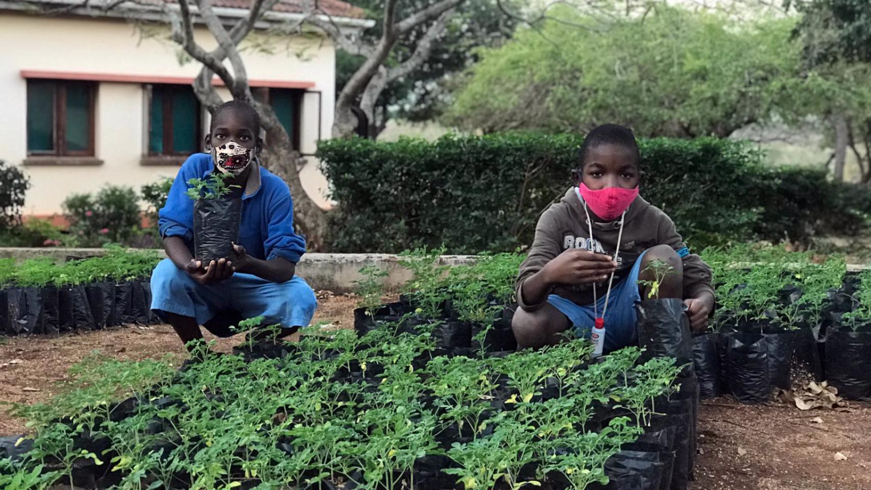 Niños en el hogar de acogida Casa do Gaiato de Maputo con árboles de Moringa