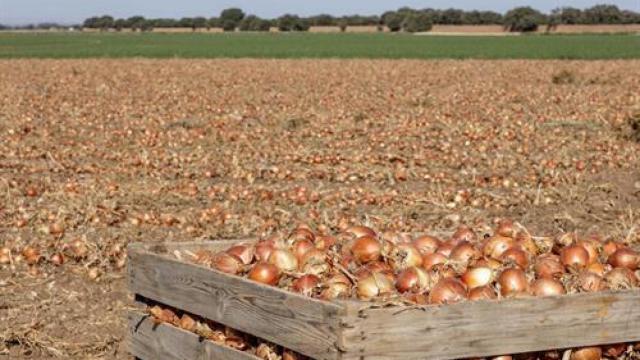 Una explotación agrícola