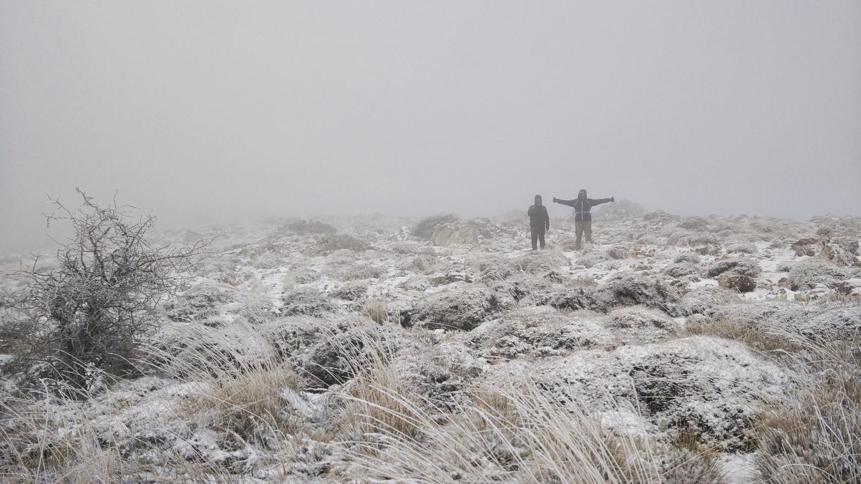 El primer manto blanco del año en la Sierra de las Nieves (Málaga), desde dentro