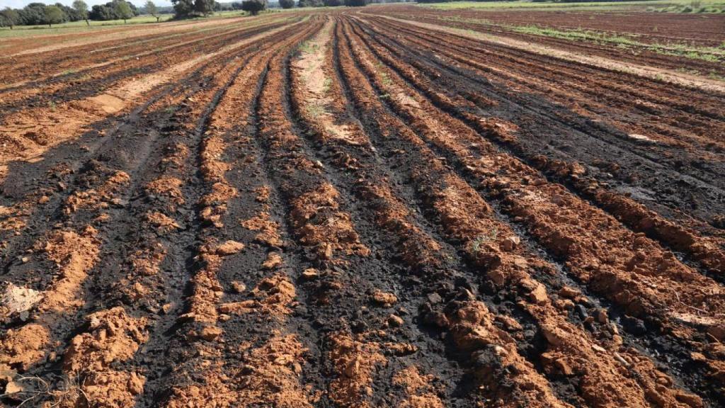 Terreno de Balsa de Ves (Albacete) lleno de digestato