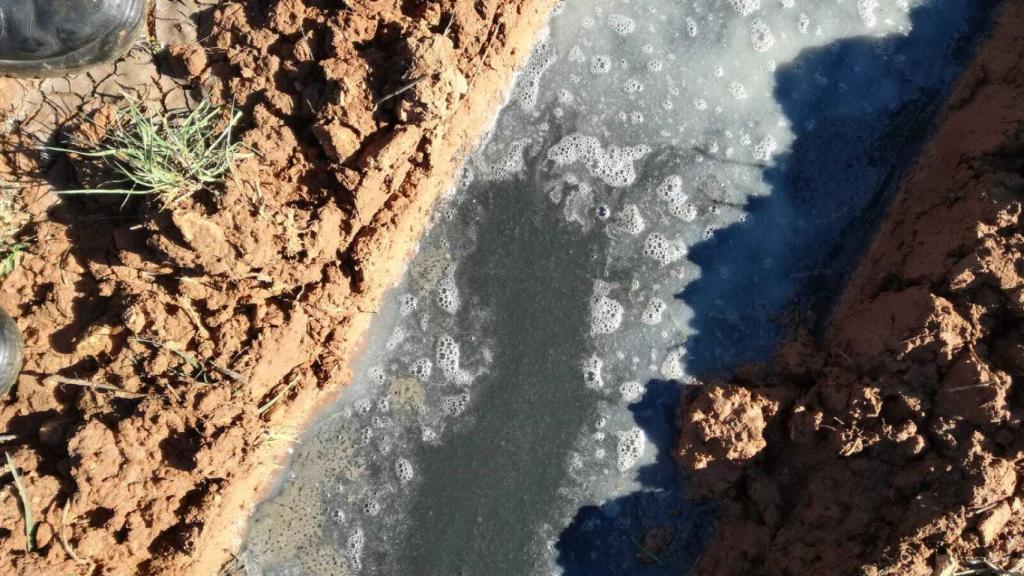 Toman una muestra del agua de Balsa de Ves (Albacete)