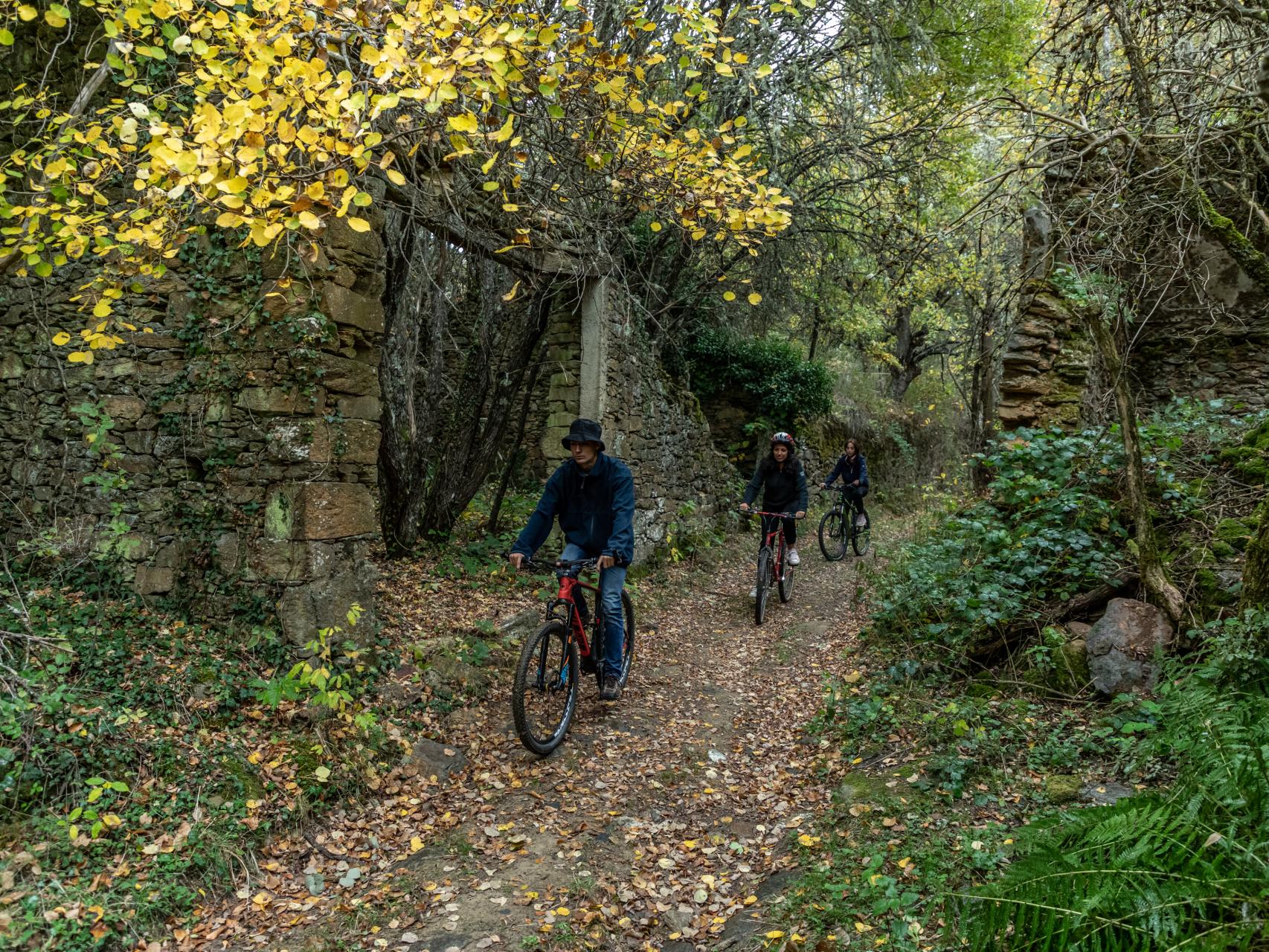 Rutas en bicicleta por Zamora