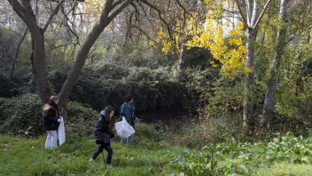 Voluntarios limpian las riberas del río Tormes