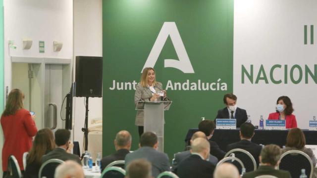 Intervención de Marifrán Carazo en el II Congreso Nacional de Movilidad que se celebra en Málaga.
