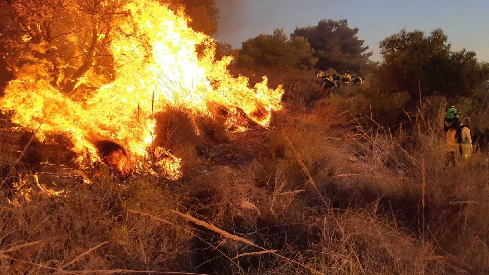Efectivos del Infoca desplazados al incendio de Maro, en Nerja.