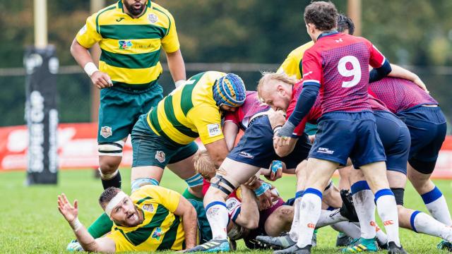 Los Iberians vuelven a la competición en Pepe Rojo