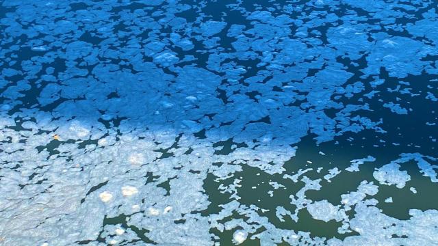 Las aguas del Tajo, este sábado a su paso por Toledo. Foto: Victoria Guadamillas.