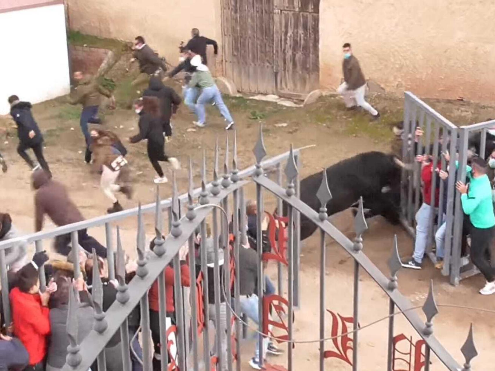 Momento en el que el toro abre la talanquera / Juanichi Taurino