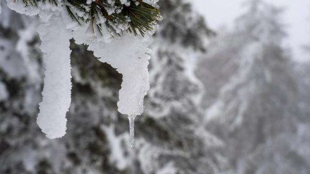 Imágenes de las copiosas nevadas en el norte de España.