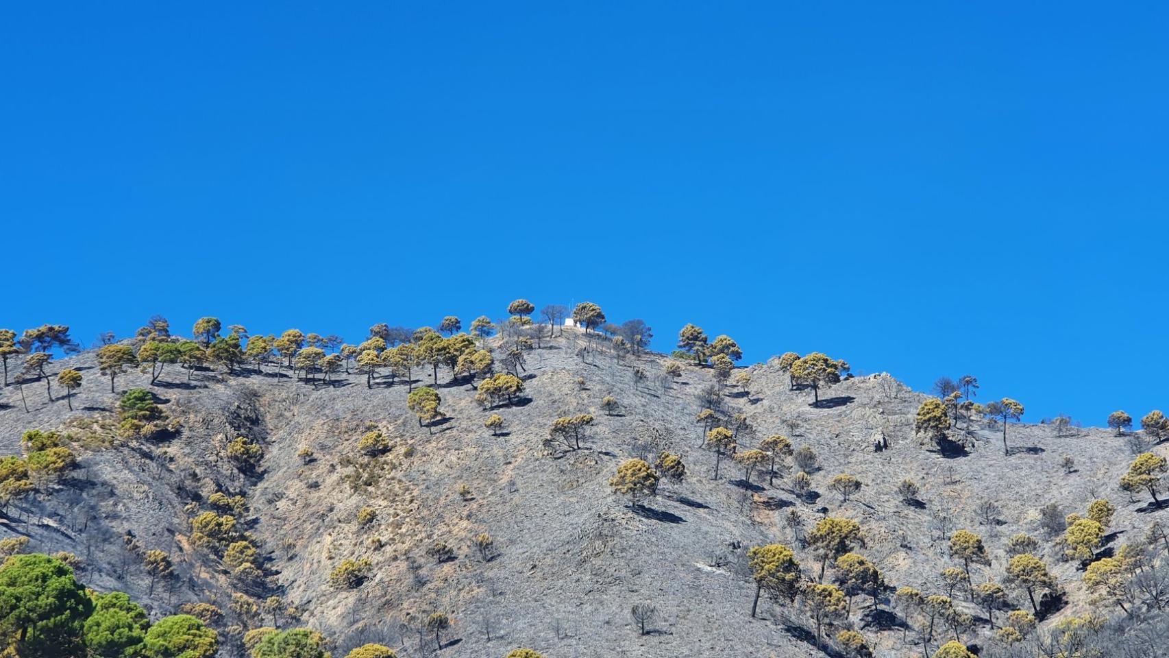 Zona afectada por las llamadas en el término municipal de Cómpeta.