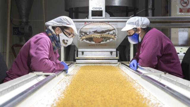 David Arranz / ICAL . Sociedad cooperativa apícola Reina Kilama. En la imagen la zona de selección del polen.