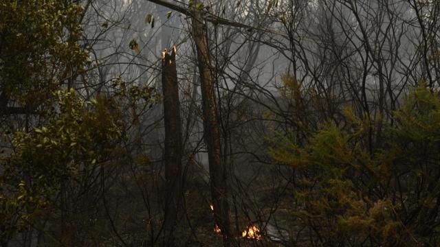 Imagen archivo de un incendio