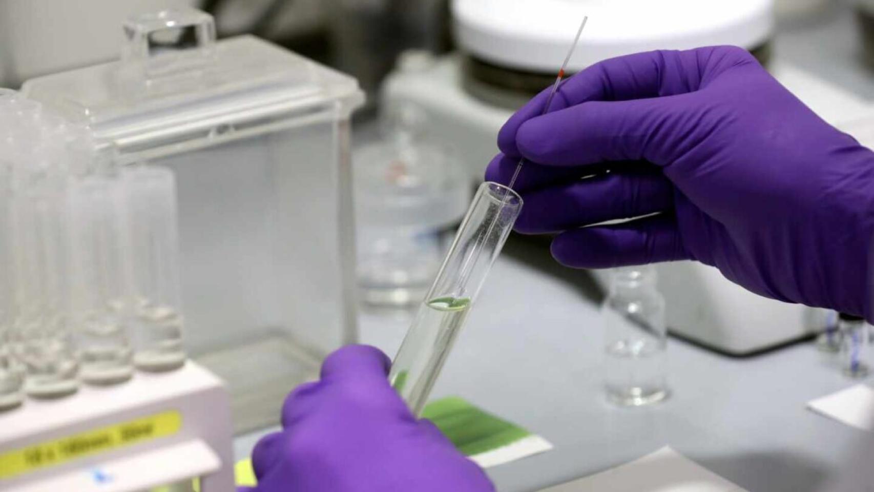 Investigador trabajando en un laboratorio español.