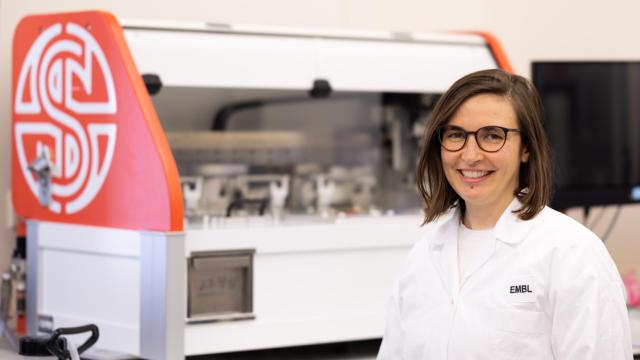 Cristina Vieitez en el Instituto Europeo de Biologia Molecular