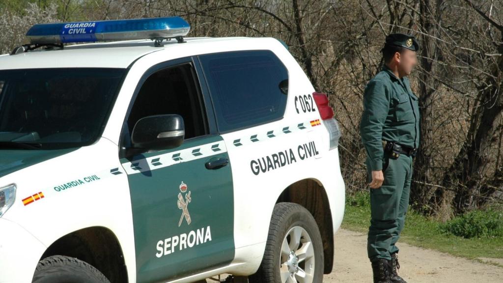 Agente de Seprona