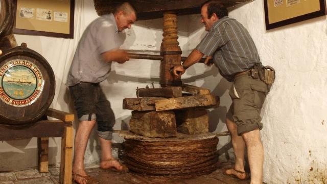 En Riogordo se puede ser testigo de cómo era antaño el proceso olivarero.