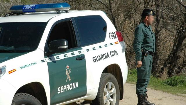 Un agente de la Guardia Civil.