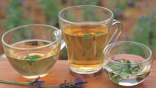 Infusiones herbales.