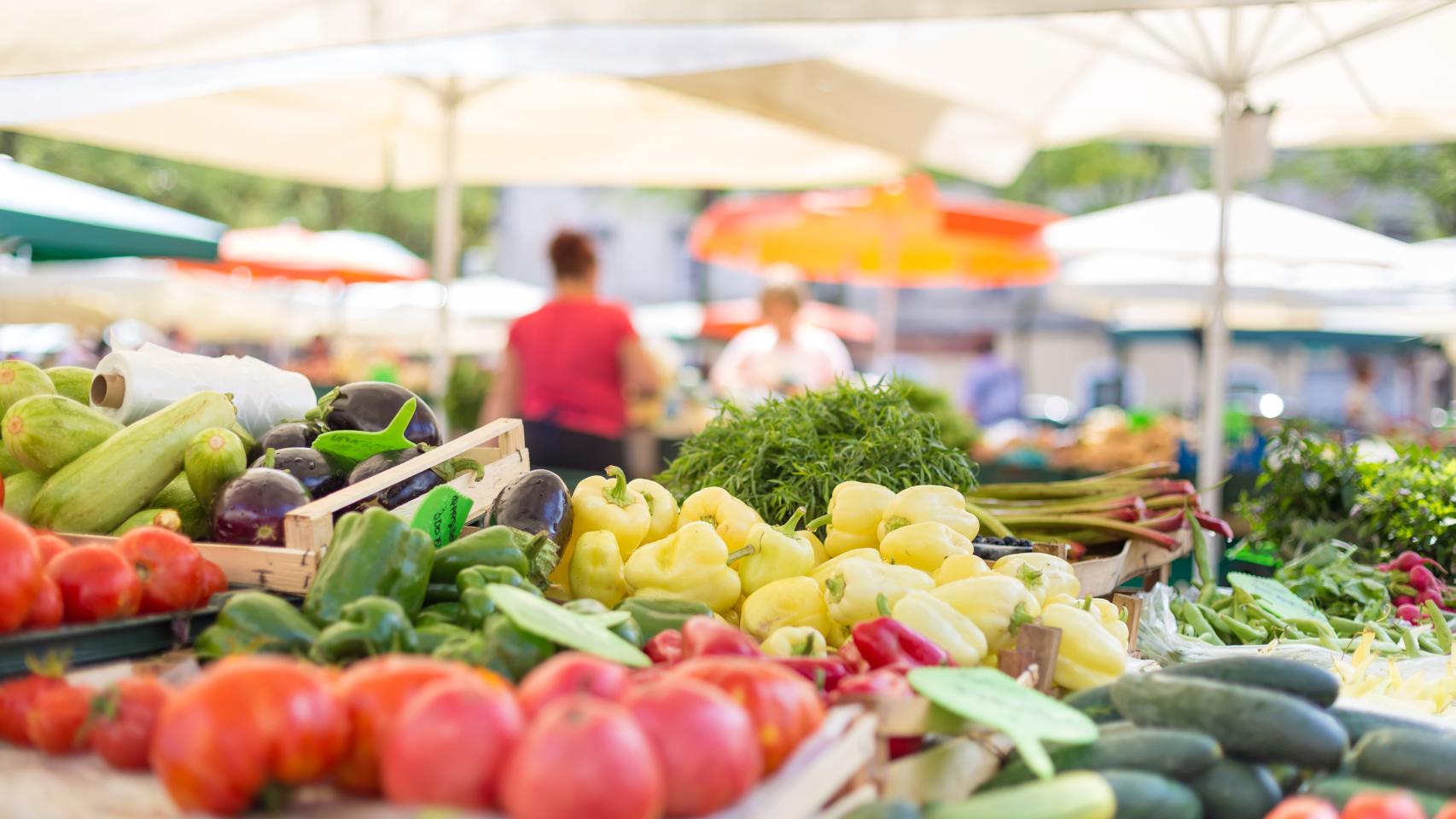 Alimentos